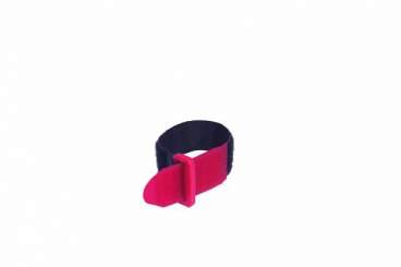 Kabelbinder Klettverschluss 25 x 195mm 