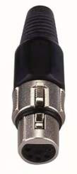 DAP XLR Plug 5pol weibl. 