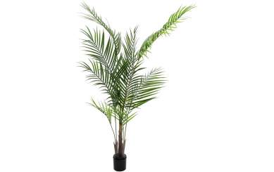 Europalms Großblatt-Areca, 165cm, Kunststoffpflanze 