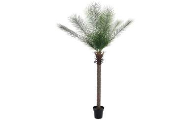 Europalms Phönix deluxe, 220cm, Kunststoffpflanze 