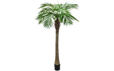 Europalms Phönixpalme luxor, 300cm, Kunststoffpflanze 