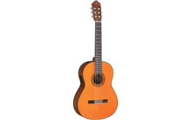 Yamaha CGX102 Classic Guitar 