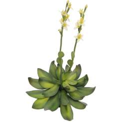 Europalms Steinrose (EVA), gelb, 32cm, Kunststoff 
