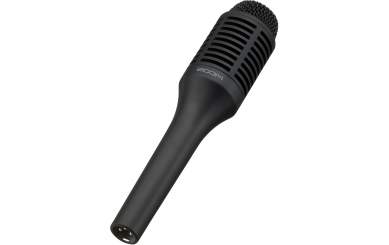 Zoom SGV-6 