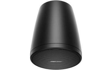 Bose Pro FreeSpace FS2P schwarz, Paar 