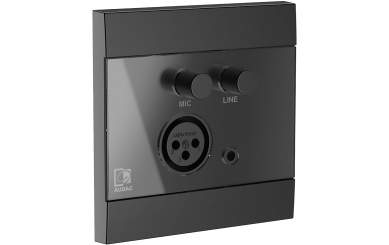 Audac WP210 Universelles Wandbedienfeld mit Mikrofon & Line Eingang schwarz 