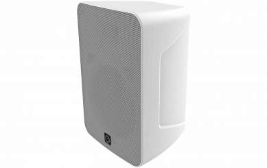 Intusonic 6FP80R 6" 2-Wege Outdoor Lautsprecher weiß 