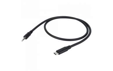 DAP FL113 - USB-C auf Stereo Miniklinke Stecker, 0,75 m 