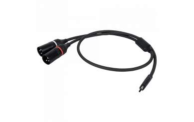 DAP FL112 - USB-C auf 2 XLR/M 3P, 1,5 m 