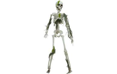 Europalms Halloween Skelett mit Moos, 40cm 