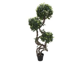 Europalms Ficus Multi Spiralstamm, 160cm, Kunststoff 
