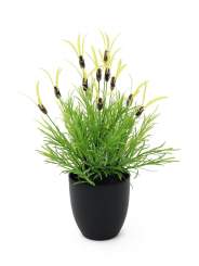Europalms Federlattich, 40cm, Kunststoffpflanze 