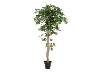 Europalms Ficus Longifolia, Kunstpflanze, 165cm 