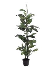 Europalms Dieffenbachia, 120cm, Kunststoff 