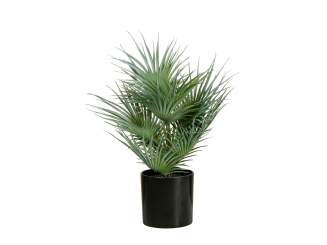 Europalms Fächerpalme, Kunstpflanze, 55cm 