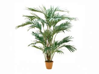 Europalms Kanarische Dattelpalme, Kunstpflanze, 240cm 