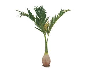 Europalms Phönix Palme, Kunstpflanze, 240cm 