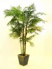 Europalms Cycusrohrpalme 280cm, Kunststoff 