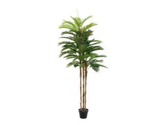 Europalms Kentia Palme, Kunstpflanze, 180cm 