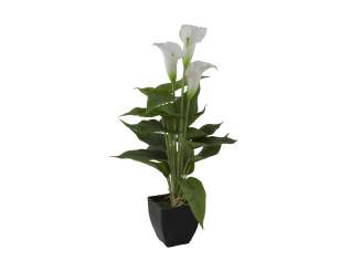 Europalms Calla mini, weiß, 43cm, Kunststoff 