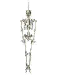 Europalms Halloween Skelett, 150 cm 