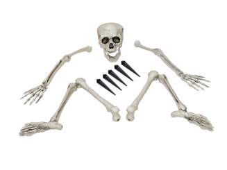 Europalms Halloween Skelett, mehrteilig 