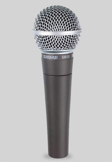 Shure SM 58 LCE 
