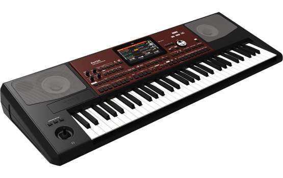 Korg Pa700 Entertainer Keyboard, 61 Tasten 