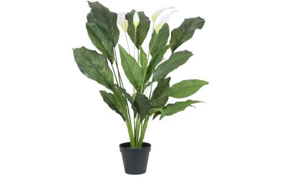 Europalms Spathiphyllum deluxe, 83cm, Kunststoffpflanze 