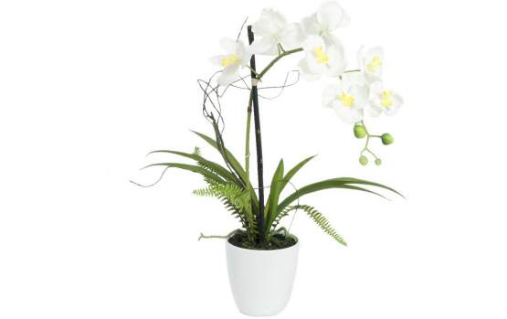 Europalms Orchideen-Arrangement 1, Kunststoffpflanze 