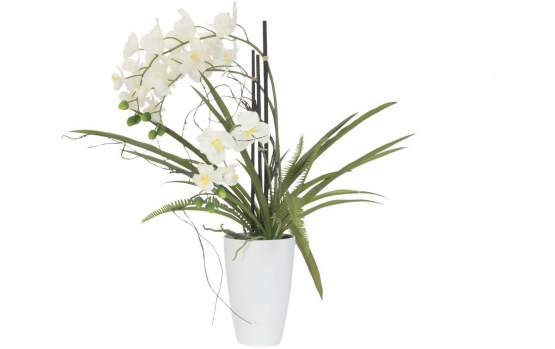 Europalms Orchideen-Arrangement 2, Kunststoffpflanze 