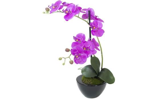 Europalms Orchideen-Arrangement 4, Kunststoffpflanze 