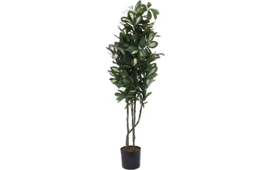 Europalms Schefflera, 90cm, Kunststoffpflanze 