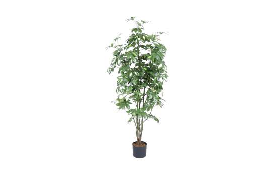 Europalms Schefflera, 150cm, Kunststoffpflanze 