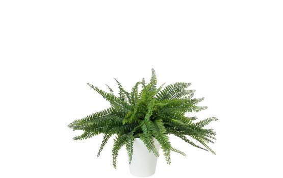 Europalms Farnbusch im Dekotopf, 62 Blätter, 48cm, Kunststoffpflanze 