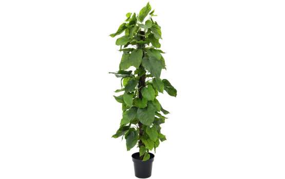 Europalms Pothos, 180cm, Kunststoffpflanze 
