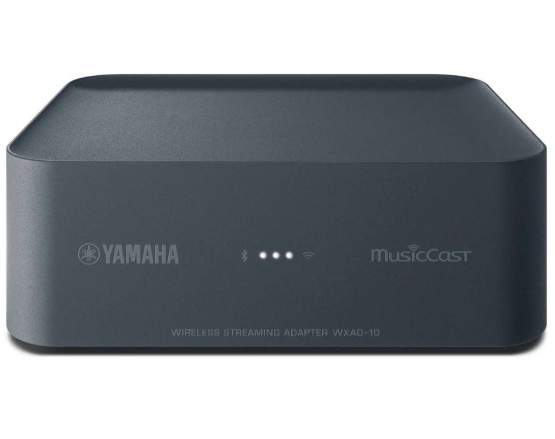 Yamaha MusicCast WXAD-10 Netzwerk-Audio-Player - Grau 