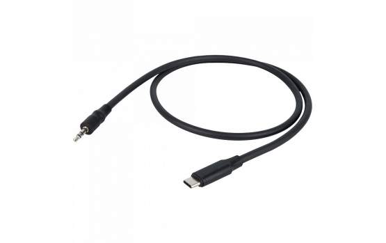 DAP FL113 - USB-C auf Stereo Miniklinke Stecker, 0,75 m 