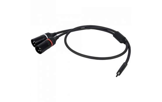 DAP FL112 - USB-C auf 2 XLR/M 3P, 0,75 m 