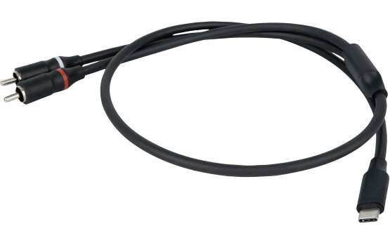 DAP FL110 - USB-C auf 2 Cinch Stecker, 1,5 m 