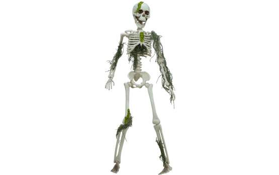 Europalms Halloween Skelett mit Moos, 40cm 