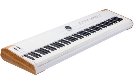 Arturia AstroLab 88 Stage Keyboard 