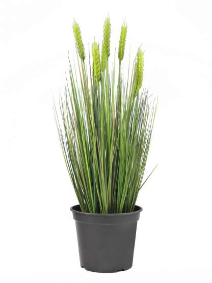 Europalms Weizen Frühsommer 60cm, Kunststoffpflanze 