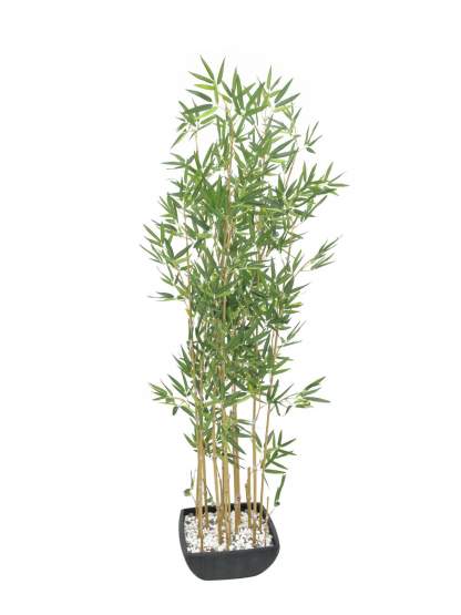 Europalms Zierbambus in Dekoschale, 150cm, Kunststoffpflanze 