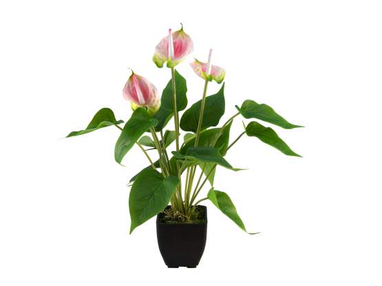 Europalms Anthurie, weiß pink, Kunststoffpflanze 
