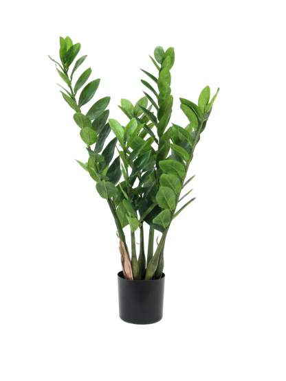 Europalms Zamifolia, 70cm, Kunststoffpflanze 