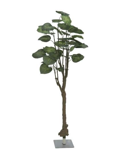 Europalms Pothosbaum, 175cm, Kunststoff 