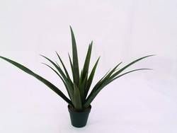 Europalms Aloe-Vera-Pflanze 24 Blätter 79 cm, Kunststoff 