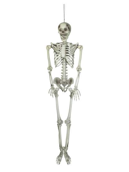 Europalms Halloween Skelett, 150 cm 
