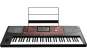 Korg Pa700 Entertainer Keyboard, 61 Tasten 